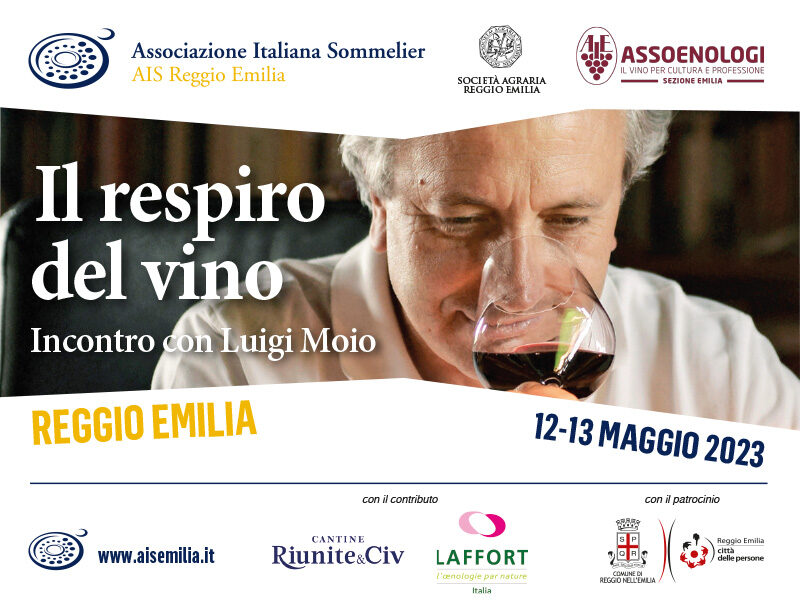 Il respiro del vino, incontro con Luigi Moio – Associazione Italiana  Sommelier – Emilia