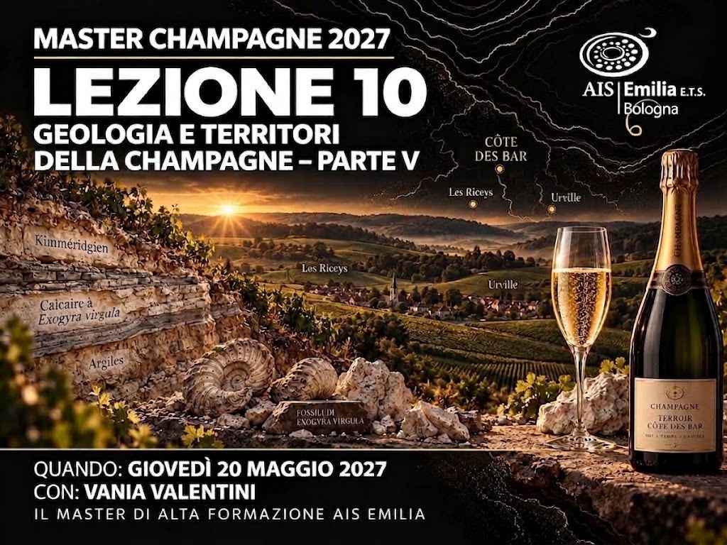 Lezione 10 - Geologia e territori della Champagne – Parte V
