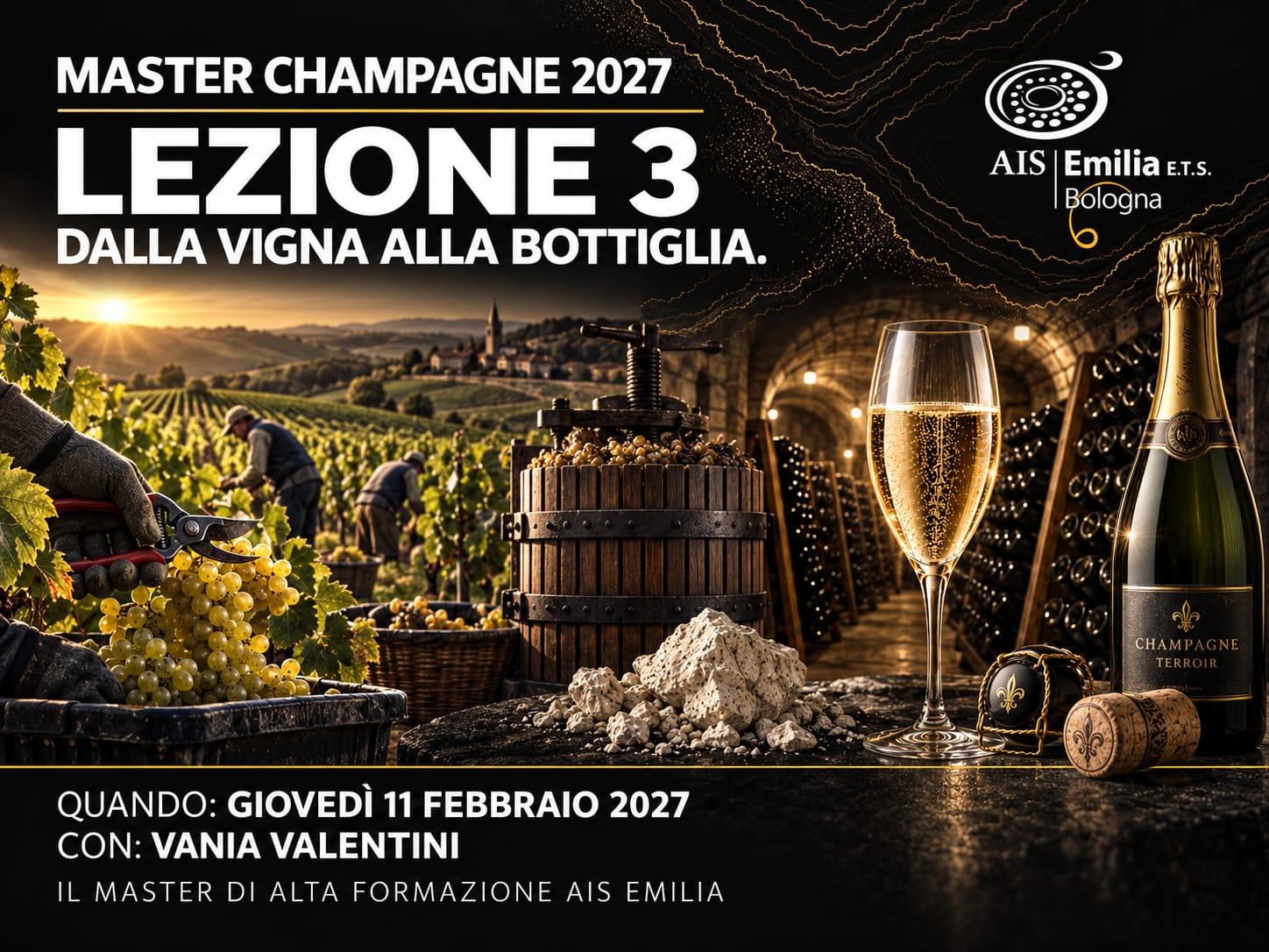 Lezione 3 - Dalla vigna alla bottiglia