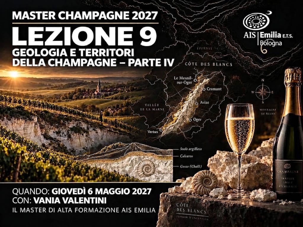 Lezione 9 - Geologia e territori della Champagne – Parte IV